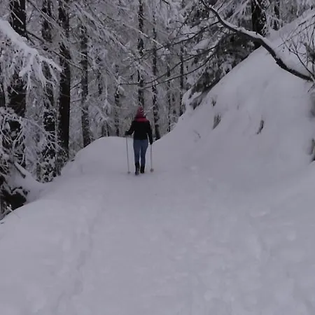 Il Nido - Delizioso Presso Il Centro Con Vista Spettacolare E Giardino Appartement