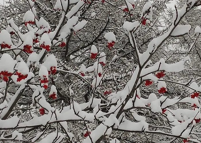 Il Nido - Delizioso Presso Il Centro Con Vista Spettacolare E Giardino Daire *