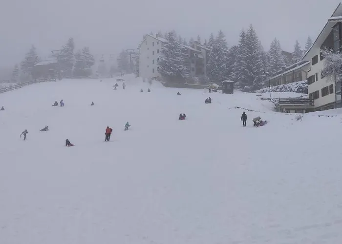 Il Nido - Delizioso Presso Il Centro Con Vista Spettacolare E Giardino